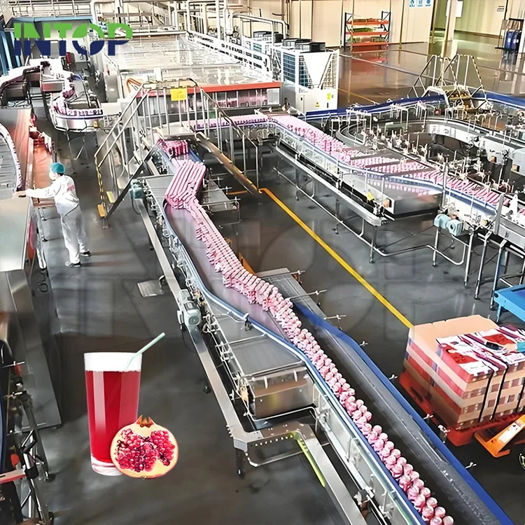 Pomegranate шүүсний үйлдвэрлэлийн шугам